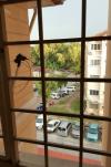 Pangsapuri Cendana Apartment Bukit Subang Shah Alam